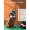 Kitchen Knife Set, 6 Pieces German Stainless Steel Small Kitchen Knives Set with Wooden Block, Cutlery Block Set