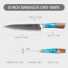 Hecef 8 inch Chef Knife, with 67-Layers Japanese Damascus Steel and Resin Handle